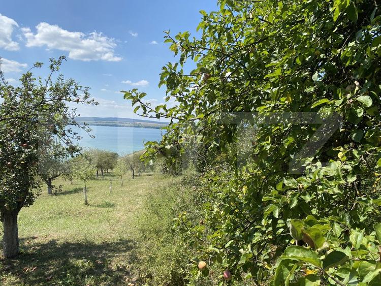 Teren extravilan in apropierea lacului Varsolt in suparfata de 3800 mp - 5