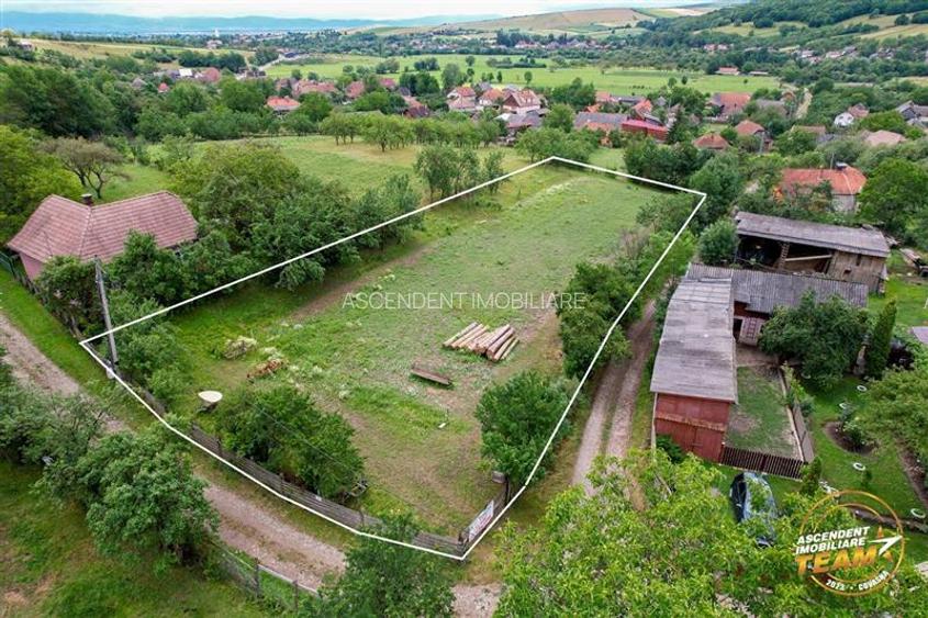 FILM! 2.660 mp intravilan,un colt de liniste, recomandat rezidential investition - 4
