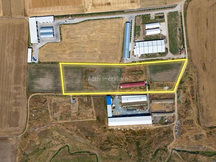 Cogealac - Tariverde – Ferma cu teren intravilan, utilitati racordate! - 2
