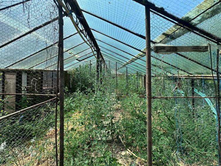 Casa Individuală| Hală| Livadă| Seră| zona Blaj