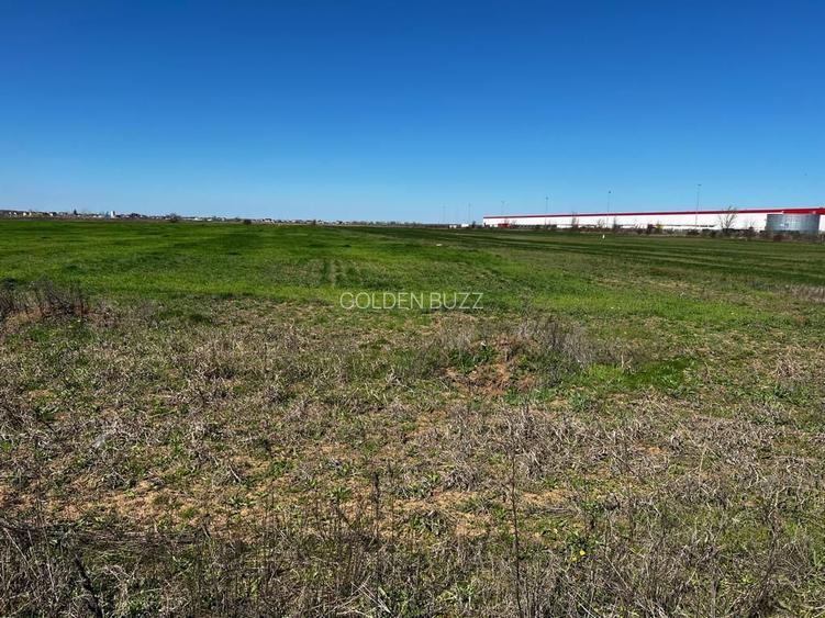 Investitie | Logistica | Productie | 23600 mp |  Centura Bucuresti | - 5