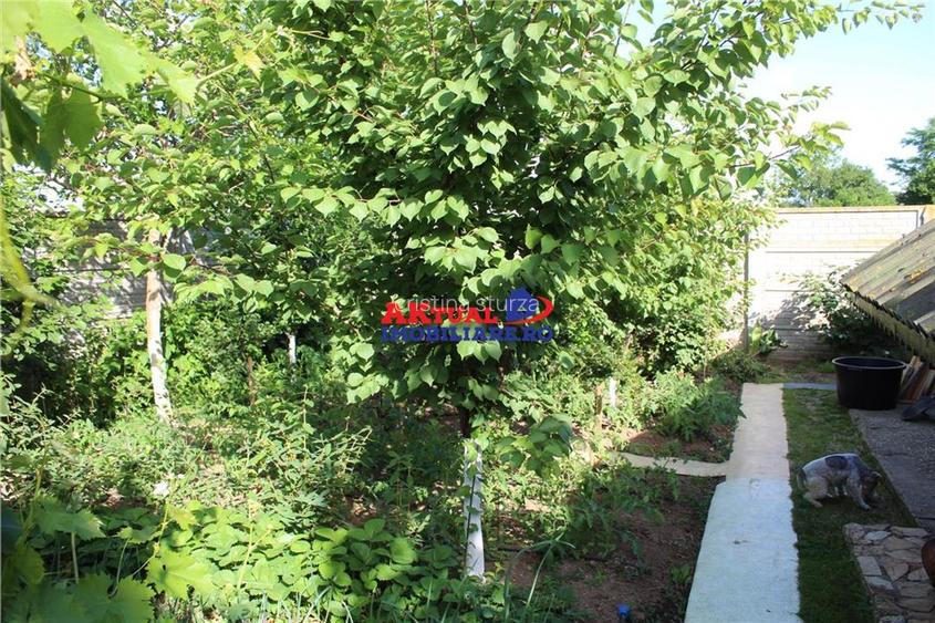 Tartasesti/ Vila 4cam-190mp-teren 755mp - 17