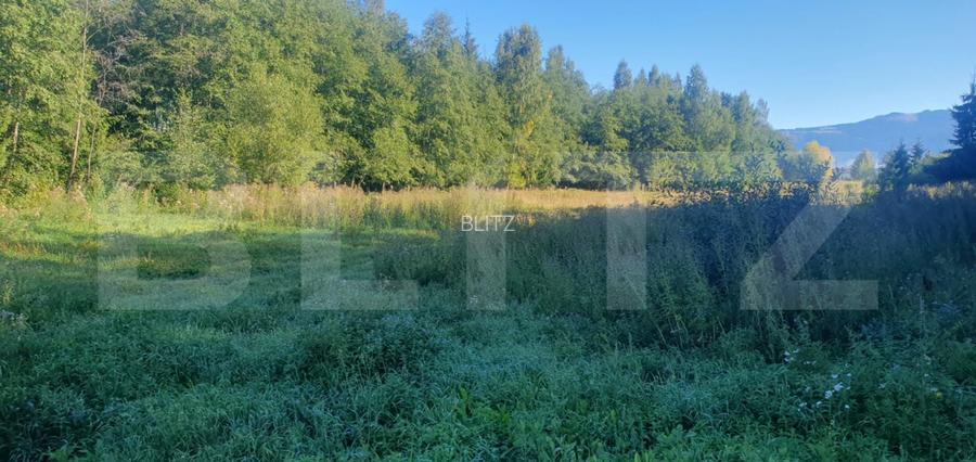 Teren intravilan, 14.540 mp, zona Neagra Sarului - Vatra Dornei - 4