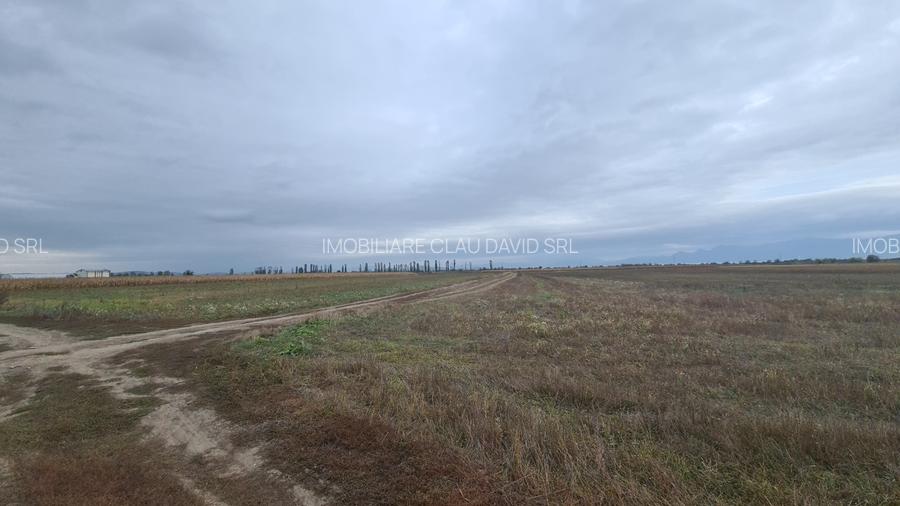 Oază de Natură și Potențial: Teren de 48.100 mp lângă Delta din Carpați - 12