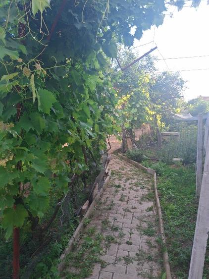 Casa de vinzare in Dudasu cu teren 614m patrati, pozitie foarte buna