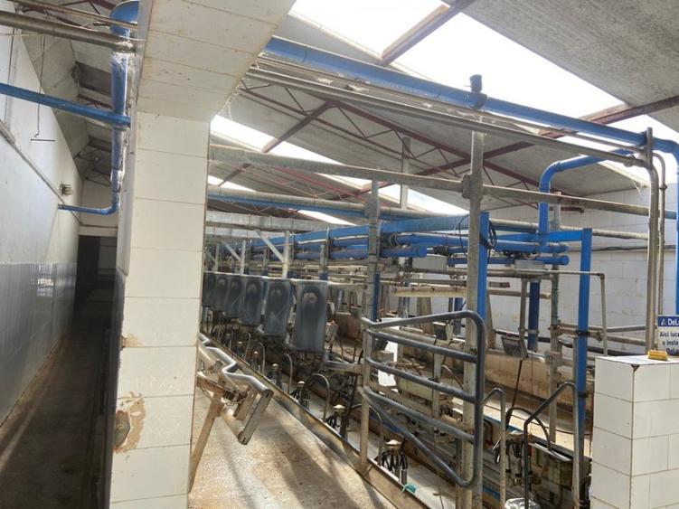 Vand ferma bovine situata in judetul Buzau