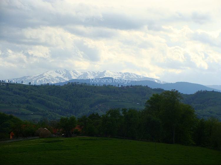 Teren Poiana Mărului Brașov,  PUZ, 11600mp, pe ruta via Transilvanica - 8