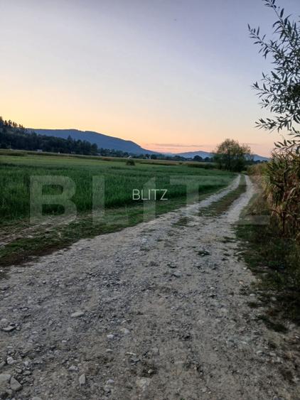 teren intravilan Capu Campului, 2818MP, 33816E pretabil constructie casa - 7