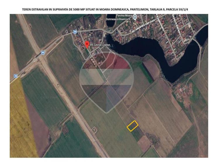 Vanzare teren extravilan 5.000mp - Pantelimon