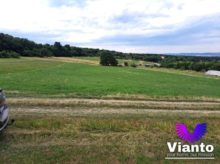 Oportunitate-Teren Extravilan 6200 mp cu vedere Panoramica-Tropinii Noi-Rasinari