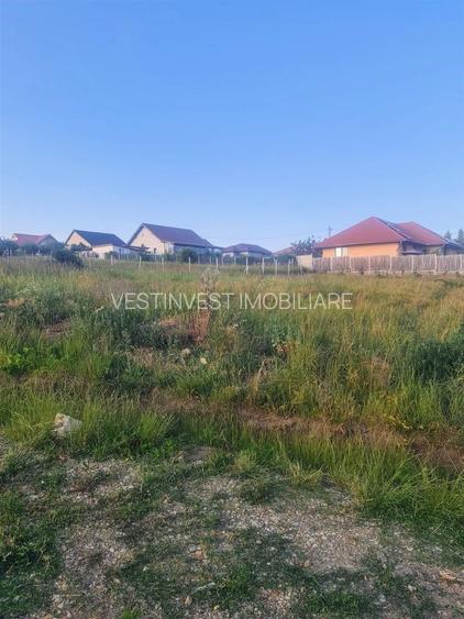 Teren intravilan Zona Gheorghe Doja 1100mp - 2