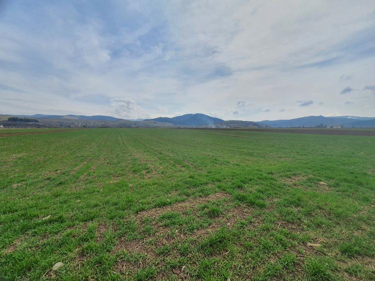 Teren Industrial Brasov - Tarlungeni deschidere la DN 103B