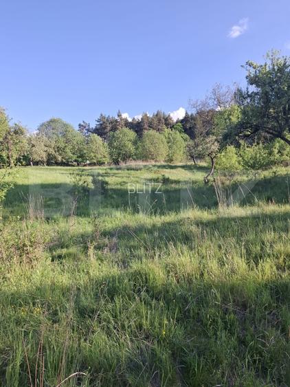 Teren extravilan de vanzare, 10.000 mp, in Valea Zizinului - 2
