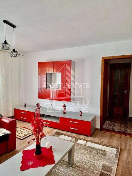 Apartament cu 2 camere de inchiriat, semidecomandat in zona Buziasului - 3