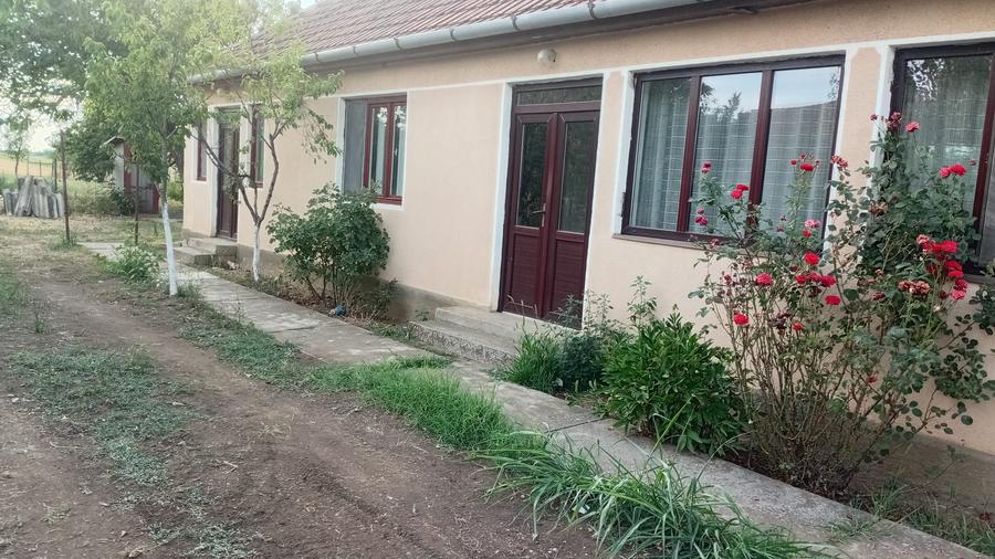 Vanzare Casa in localitatea Bodrogu Nou