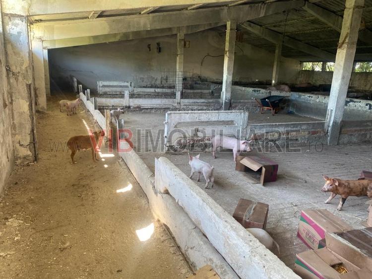 Ferma zootehnica mixta in judetul Vrancea