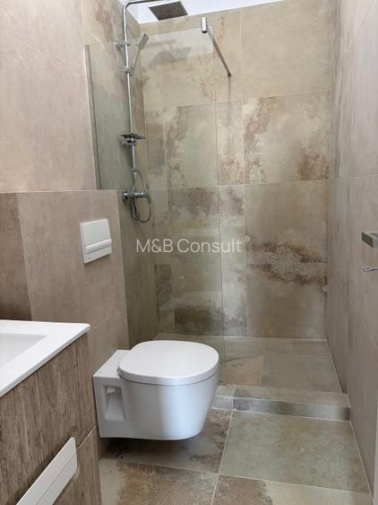 Casa de inchiriat în Mosnita-4 camere- doua bai-prima inchiriere - 16