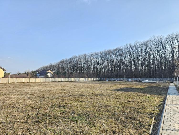 Teren de vanzare in Corbeanca - 3937 mp, amplasat intr-un cartier rezidential.