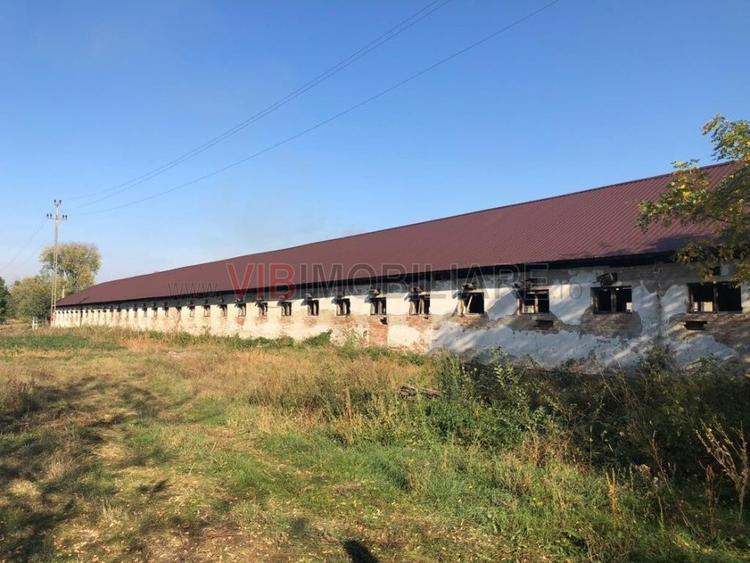 Ferma complet utilată – 30 ha teren comasat Timiș – Comuna Biled