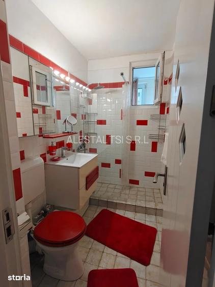 doua camere Dristor - Baba Novac - pet friendly - 9