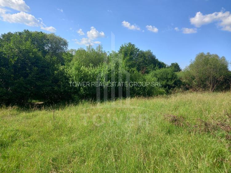 Teren în Fântânele – 3.673 mp, pârâu si cadru natural  deosebit - 7