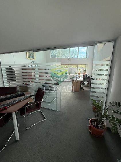 Cladire de birouri Central - Investitie - 3