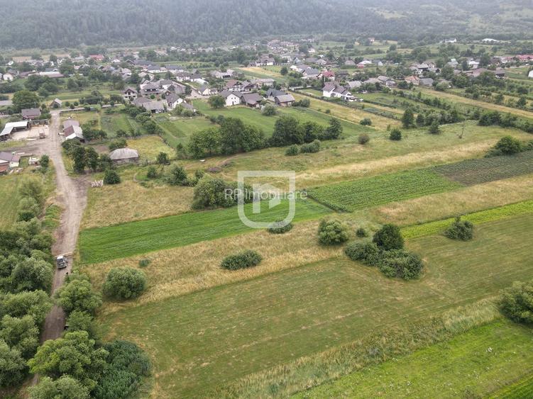 Teren Malini 3600mp | Suceava | Bucovina - 5