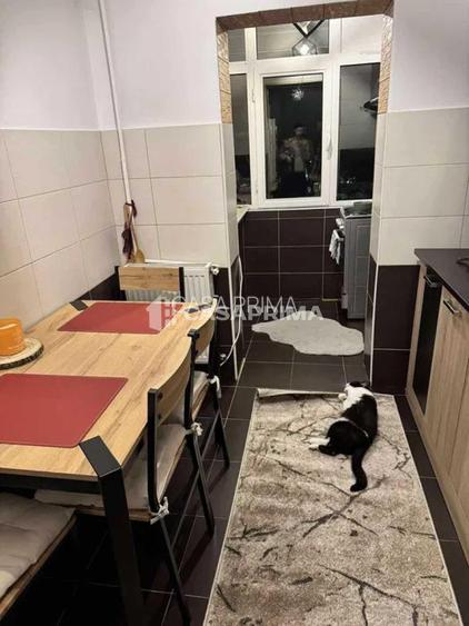 Apartament 2 camere, Nicolina-Prima Statie, mutare rapida - 3