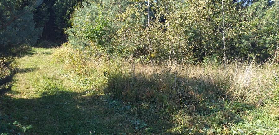 Teren Sacele zona de relaxare pretabil investitie