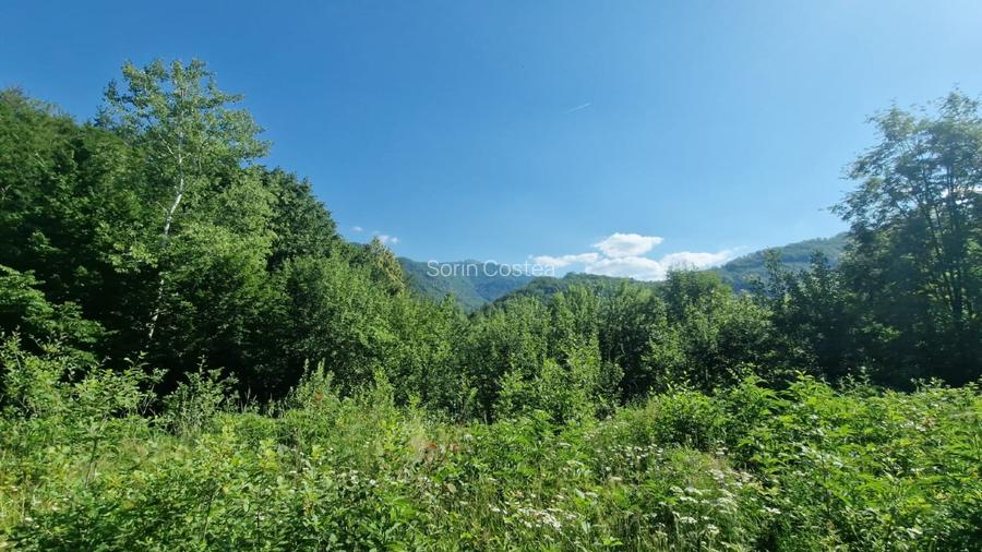 Teren pentru casă de vacanță - 2