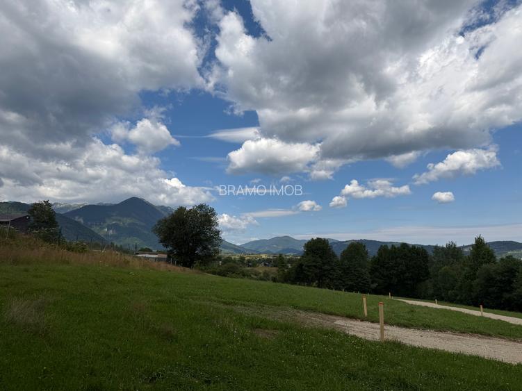 Teren intravilan zona Zarnesti-Tohanita,langa padure  1000 mp - 6