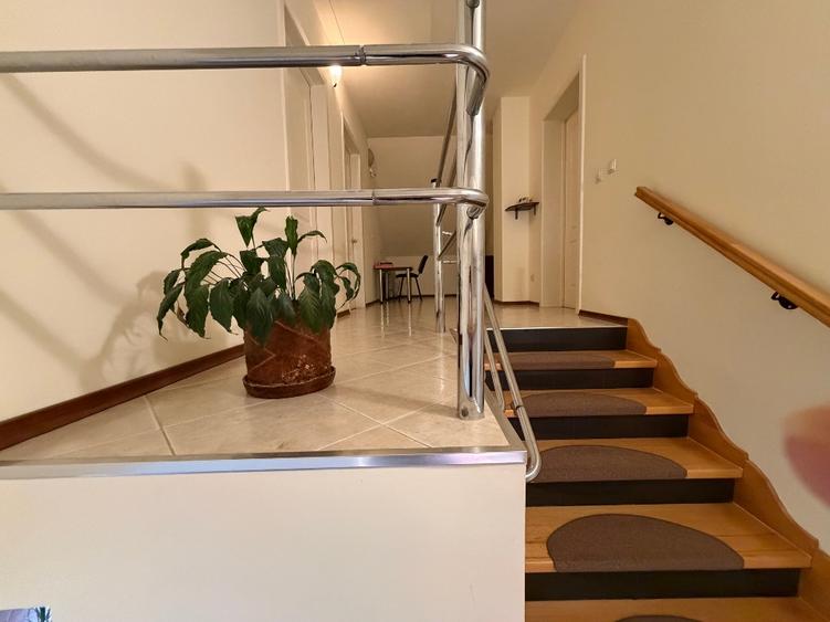 Vand proprietate doua case, magazie, gazon, livada, gradina