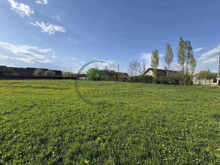Teren 9500 mp plus Casa plus Anexe Gospodaresti