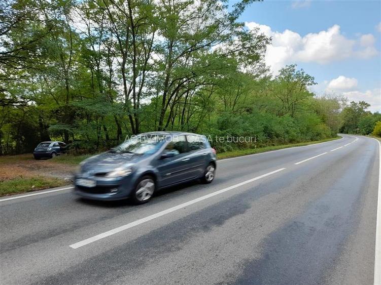 Resita,5561 mp.Teren INTRAVILAN Km.8,la Sosea 10 Euro mp.. - 6