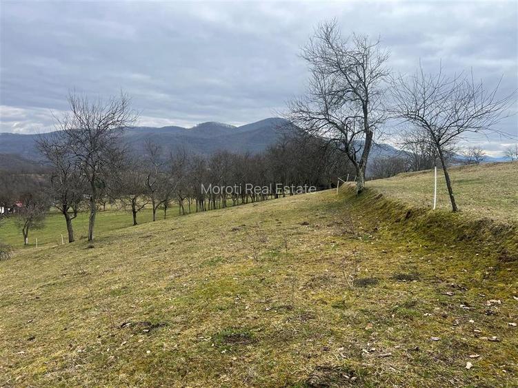 Teren intravilan si extravilan Luncoiu de Jos - 13