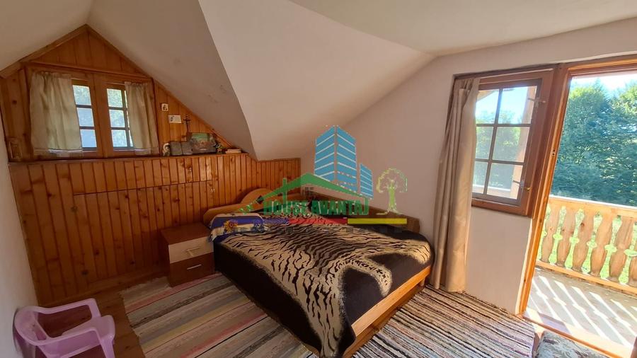 Casa de vacanta /Cabana de vanatoare  Soveja - Vrancea