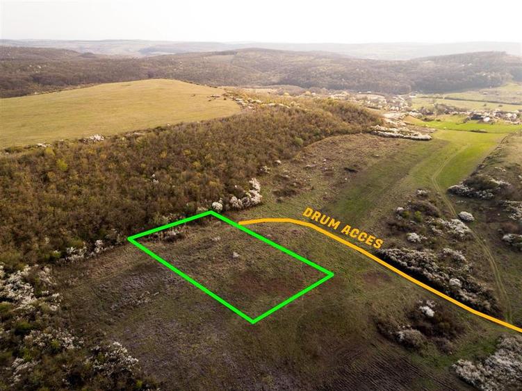 RECO Teren exclusivist 1800 mp in Betfia – panorama superba