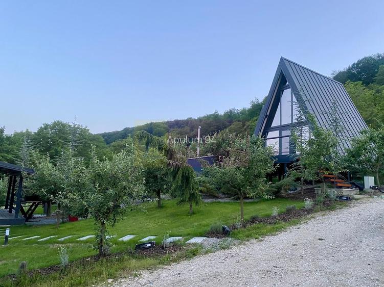 Cabane A frame + Teren 6000 mp |  Proprietate deosebita, NOU - 37