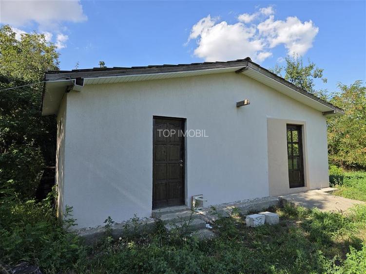 Teren 905MP - Popricani - 3