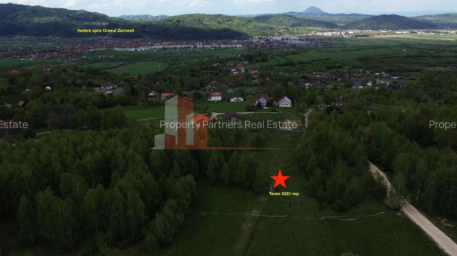 Teren intravilan 5.261 mp Tohănița | Deschidere 49 m | Utilități, lângă pădure - 3