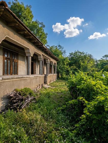DE VANZARE CASA DEMOLABILA/RENOVABILA + TEREN 1900m SAT BUDENI