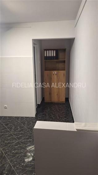 Vanzare spatiu comercial, 16mp, Alexandru cel Bun Iasi - 3