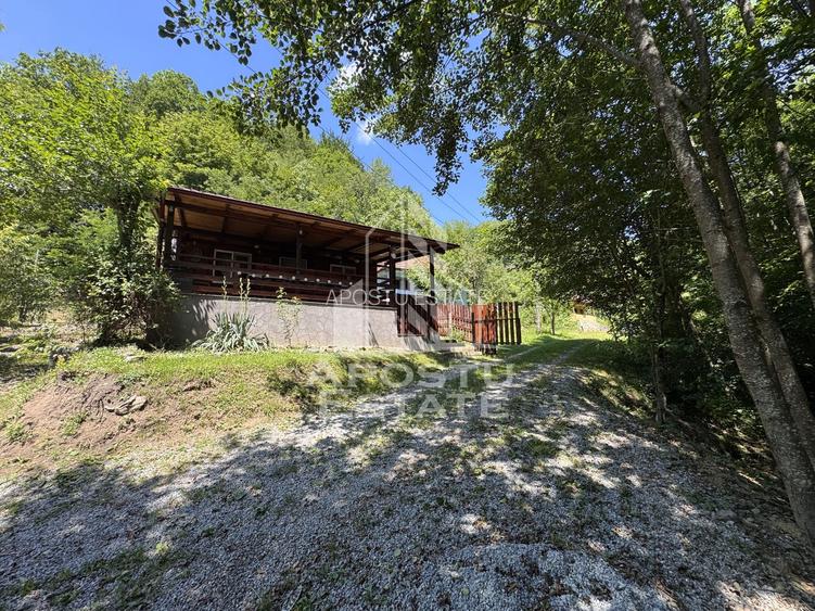 Casa din lemn, zona muntoasa, cu rau, la cheie, Ribita, Hunedoara - 52