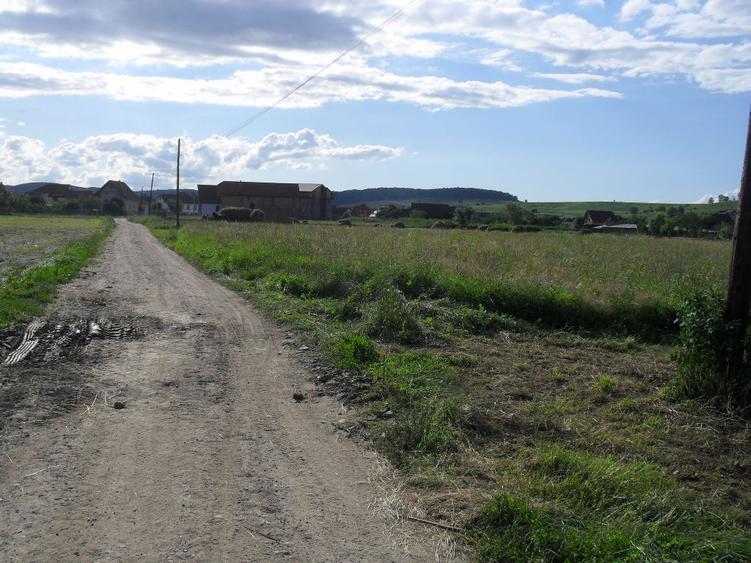 Imobiliare Maxim - teren in Cristian