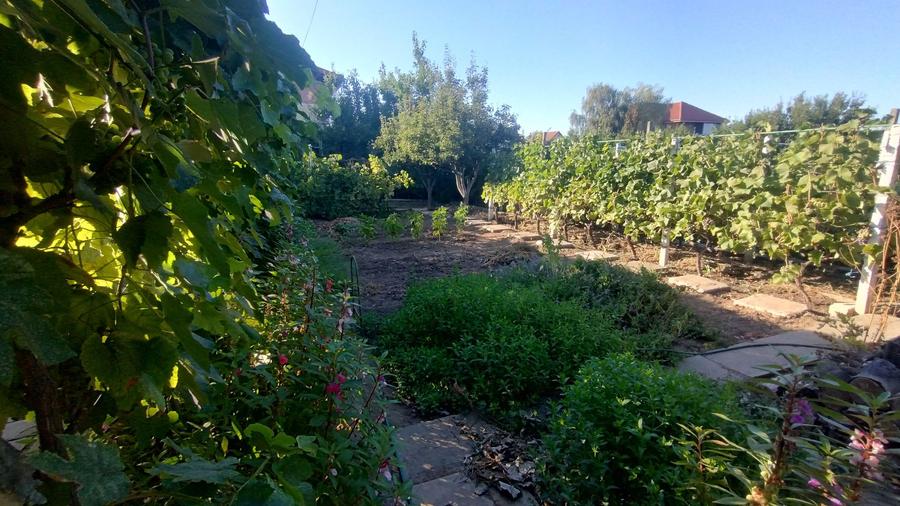 Casă, gradină, teren mare - Palazu Mare