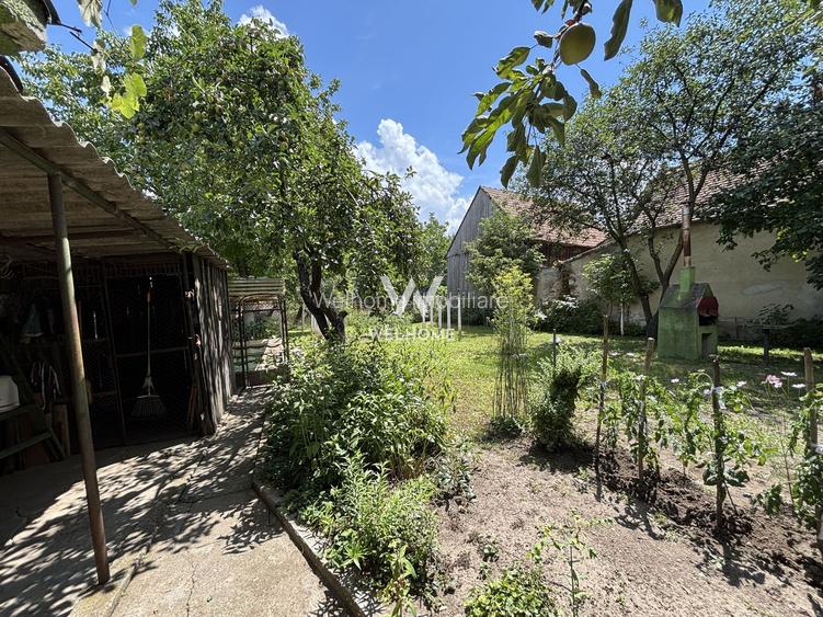 Casă individuală de vânzare în Turnișor | Curte superbă 585 mp - 19