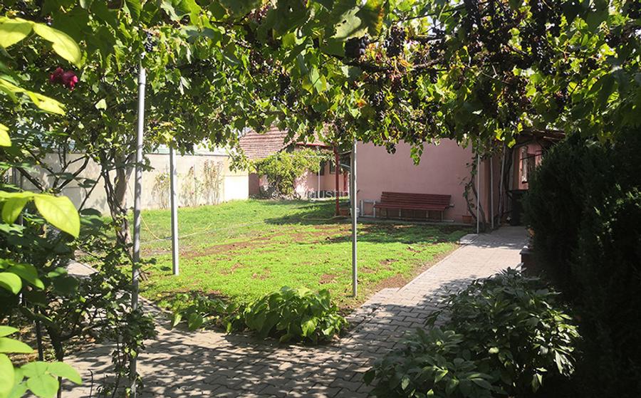 Teren intravilan 1,2 ha *12000 mp, casa 61 mp, sera, front stradal 15 m