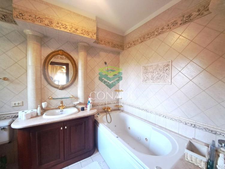 Zona Casin-Domenii, vila de inchiriat, 254 mp utili - 12