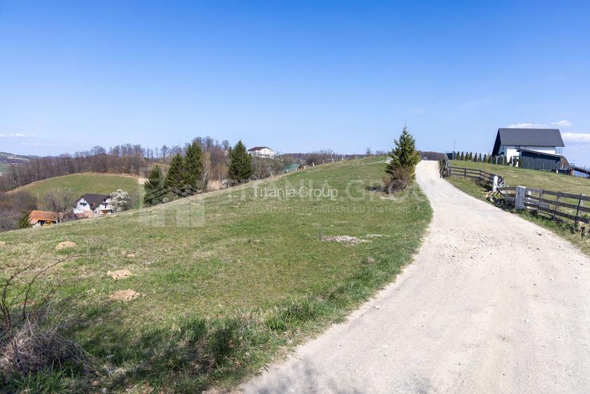 🌿 Teren Intravilan 3.791 mp | Priveliște Panoramică Superbă | Poiana Mărului - 9