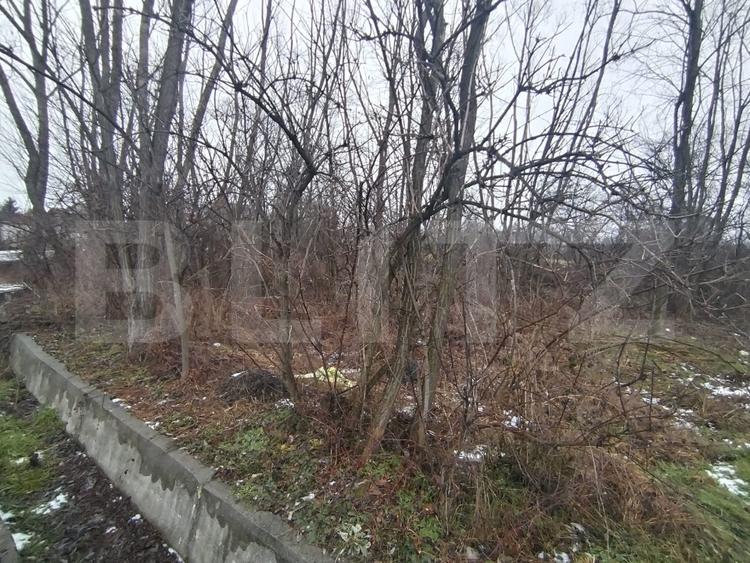 Teren intravilan 480 mp, Priseaca, jud. Dâmbovița